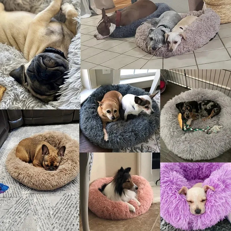 Calming Donut Bed – Orthopedic Comfort for Dogs & Cats