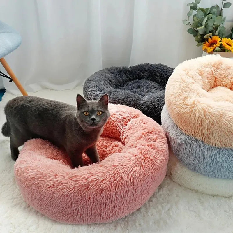 Calming Donut Bed – Orthopedic Comfort for Dogs & Cats
