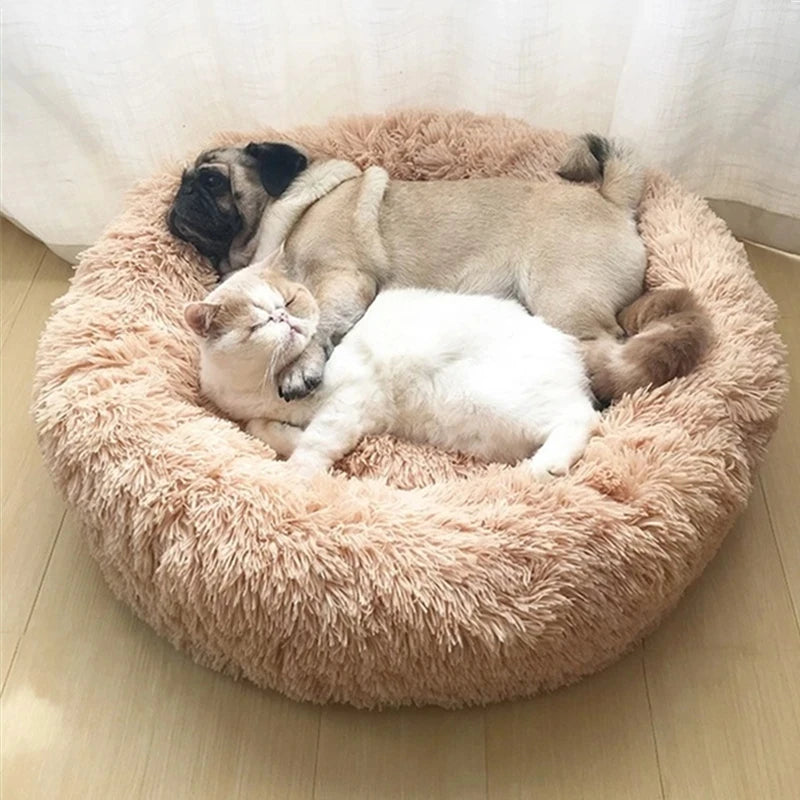 Calming Donut Bed – Orthopedic Comfort for Dogs & Cats